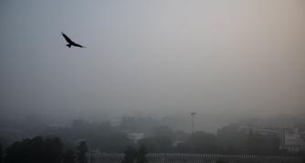 What airlines must do to tackle fog menace