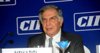 What Gave Ratan Tata Great Pleasure