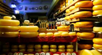 'Growth Of Cheese Market In India Is Exponential'