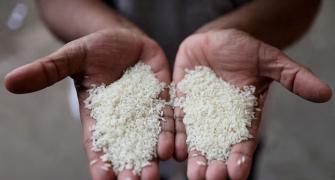 Govt exempts non-basmati white rice from export duty