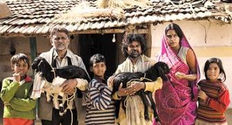 Peepli Live named Best First Feature Film