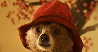 Review: Paddington is a must-watch