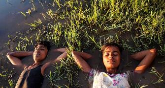 Village Rockstars Review: Too good for the Oscars