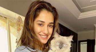 Met Disha and Alia's pets?