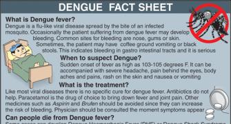 Facts About Dengue