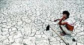 AP declared drought hit, CM seeks Rs 4000 cr aid