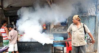 Pix: Mumbai stung by Malaria, 24 dead this year