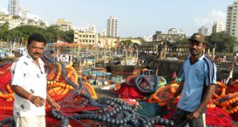 Seafood prices fall at Mumbai's Sassoon Dock