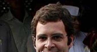 Rahul pushes 'election culture' within Cong