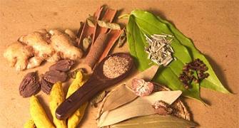 'Ayurveda needs more evidence-based approach'