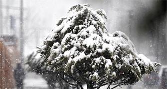 Heavy snow cuts off Kashmir Valley
