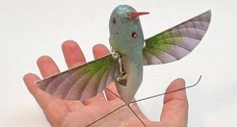 Unveiled: US army's 'hummingbird' spy drone!