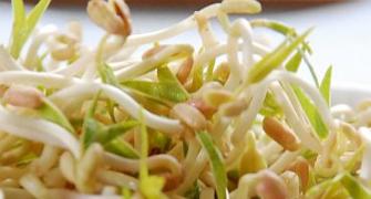 Bean sprouts: The source of the E coli epidemic