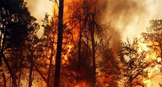IN PIX: Texas wildfires blaze 1,000 homes