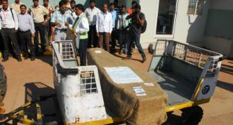 Jacintha Saldanha's body arrives in Mangalore