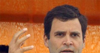 Rahul has single-handedly revived the Congress in UP