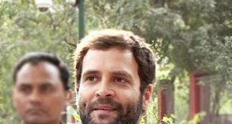 Rahul to play larger role in Congress from September