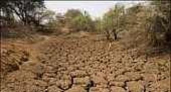 Kerala facing 'grim' drought, govt gears up machinery