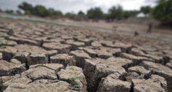 Maha drought: Scams to poor planning, contributors aplenty