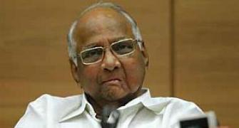 Food will reach people first, elections later: Pawar