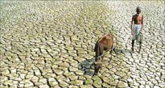 Govt outlines Rs 60,000 cr to make drought-free Maharashtra