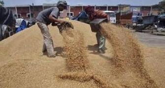UPA to bring ordinance to implement Food Security Bill