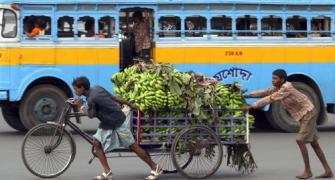 The bye-cycle diaries of Kolkata