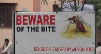 Patna has 2 fogging machines to deal with Dengue outbreak