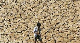 Govt proposal to stop migration from drought-hit Bihar areas