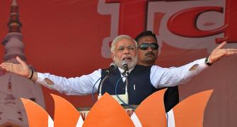 BJP and co will sweep Hindi heartland: Poll