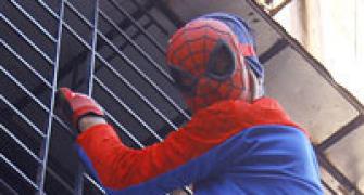 Look! It's Spiderman outside your window
