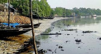 Oil spill in Bangladesh Sunderbans; India on high alert