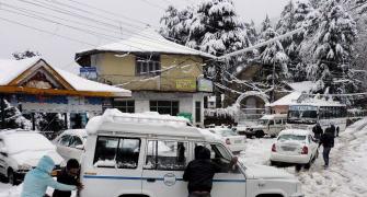 Snow leaves Himachal under a white blanket