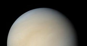 Venus could get swallowed!