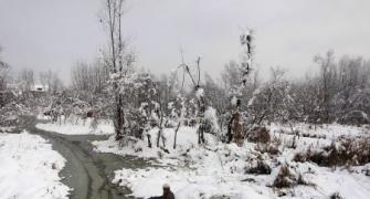 Kashmir gives US cold wave a frosty fight