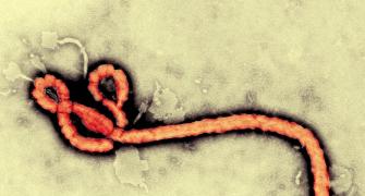 US health worker tests positive for Ebola