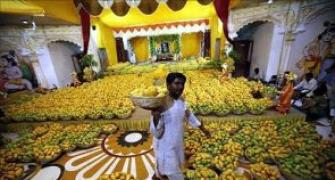 Mango growers appeal to Modi to increase export