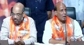 Role of senior BJP leaders to be decided collectively: Rajnath