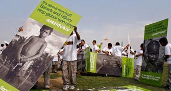 They are targeting us regularly, says Greenpeace India chief