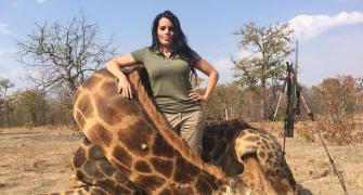 US hunter's dead giraffe photo creates furore
