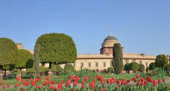PIX: Prez's Mughal Garden is in full bloom and you are invited