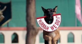 Elite dogs to guard Delhi when Obamas come visiting