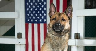 7 elite US canine officers have landed in Delhi
