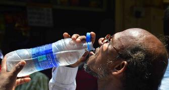 Heat wave kills over 1,800; weatherman has more bad news