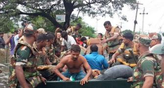 As parts of Chennai stay submerged, army, IAF join rescue operations