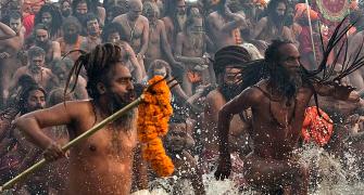 WATCH: These babas are the main draw at Kumbh Mela