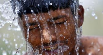 Telangana: It's only April, but the heat has already killed many