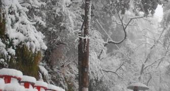 PHOTOS: Shimla turns snow white!