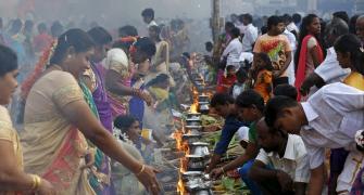 Pongal celebrated with fervour across country