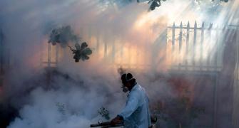 6 IAF men, among 25, test positive for Zika virus